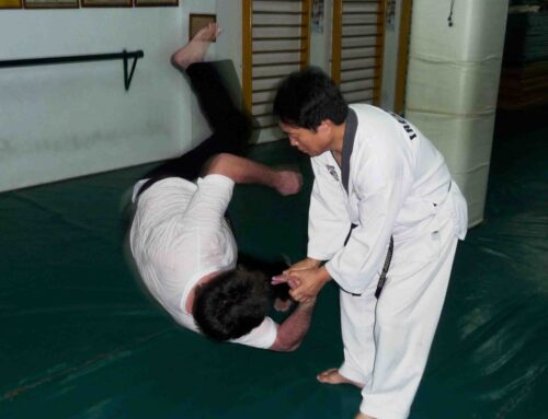 Hapkido die koreanische Selbstverteidigung