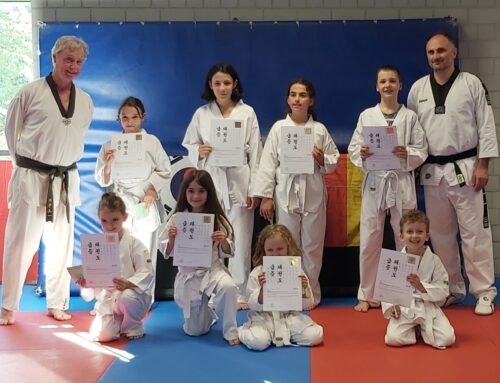 Taekwondo Kinder Anfängerkurs erfolgreich abgeschlossen