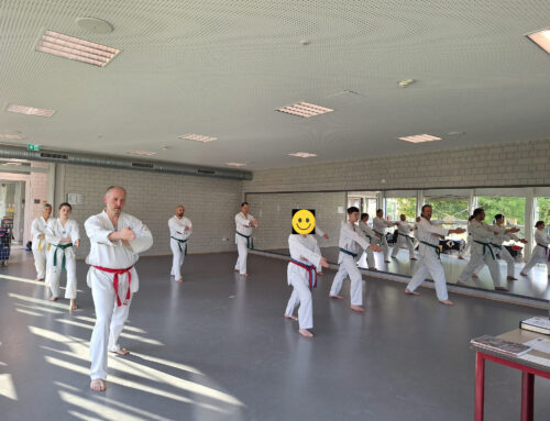 Sommer-Gürtel-Taekwondo-Prüfung