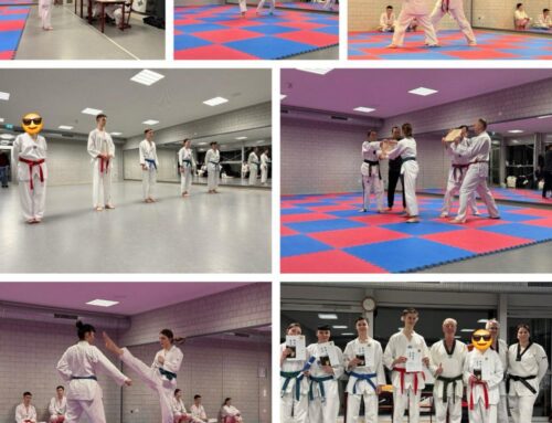 Vereinsprüfung Taekwondo 2025